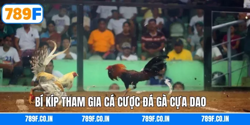 Bí quyết giành chiến thắng trong đá gà cựa dao tại 789F