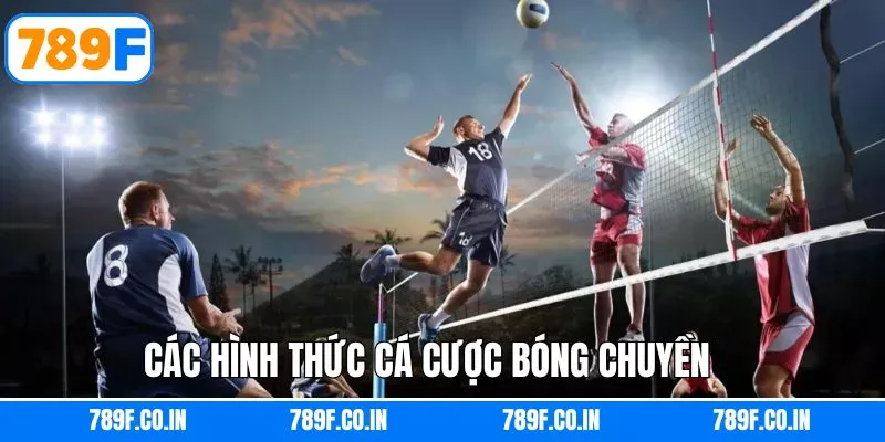 Các kèo dự đoán cơ bản tại 789F