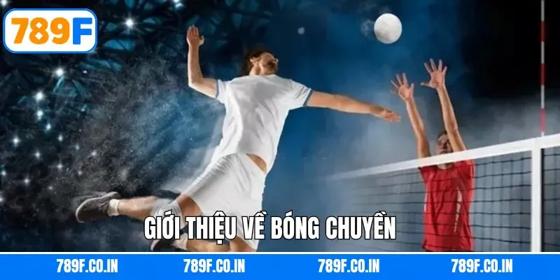 Khái quát hình thức cá độ bóng chuyền 