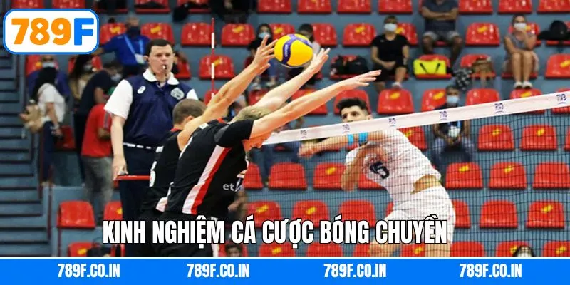 Chiến thuật đầu tư hiệu quả khi cá độ online