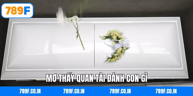 Mơ thấy quan tài đánh con gì
