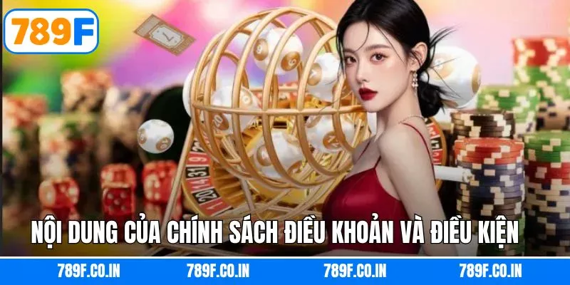 3 nội dung chính trong điều khoản và điều kiện