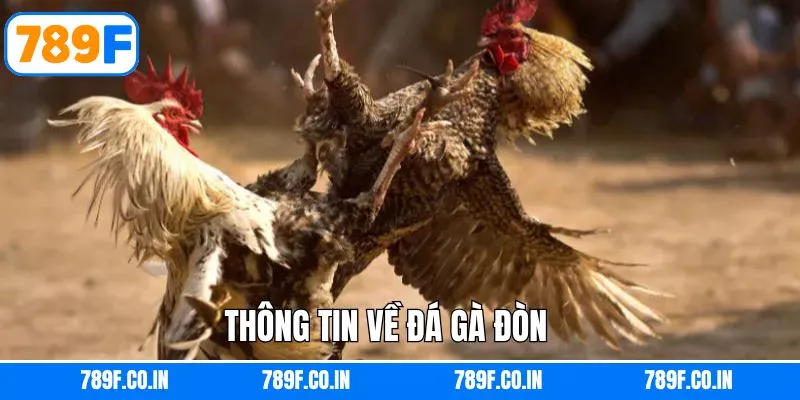 Tổng quan thông tin về thể loại đá gà đình đám