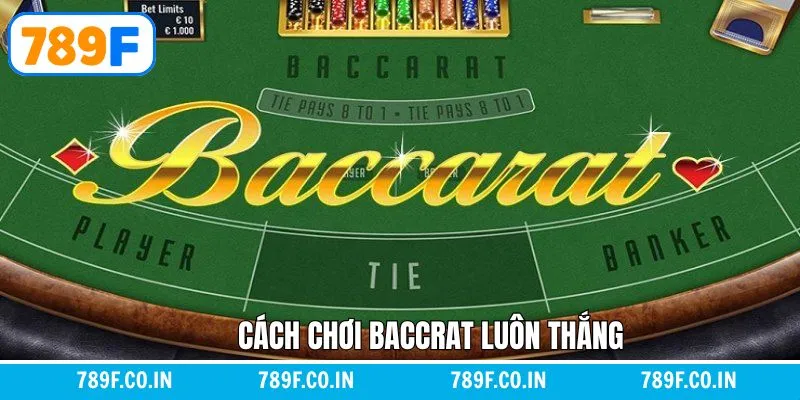 Giải Mã Chi Tiết Giấc Mơ Thấy Con Chó Đánh Con Gì Chuẩn Nhất 17 Cách Chơi Baccarat Luôn Thắng – Bí Kíp Từ Cao Thủ Lâu Năm