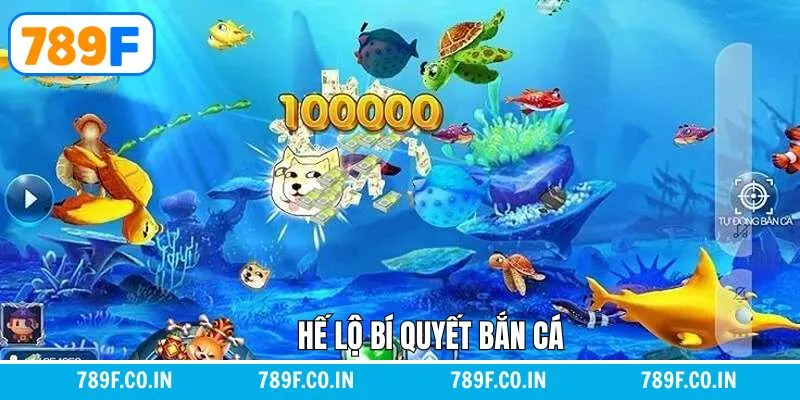 Giải Mã Chi Tiết Giấc Mơ Thấy Con Chó Đánh Con Gì Chuẩn Nhất 14 Hé Lộ Bí Quyết Bắn Cá Chuẩn Giúp Tăng Tỷ Lệ Thắng Tại 789F