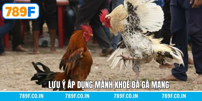 Giải Mã Chi Tiết Giấc Mơ Thấy Con Chó Đánh Con Gì Chuẩn Nhất 12 Chú ý khi tìm hiểu mánh khóe đá gà mạng để đặt cược