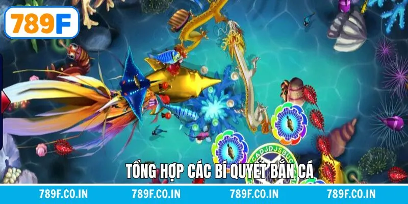 Giải Mã Chi Tiết Giấc Mơ Thấy Con Chó Đánh Con Gì Chuẩn Nhất 11 Một vài tips hay được nhiều cao thủ sử dụng khi bắn cá