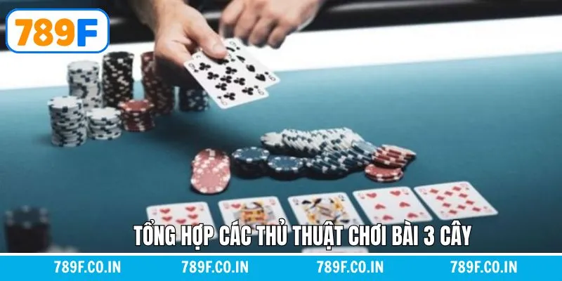 Giải Mã Chi Tiết Giấc Mơ Thấy Con Chó Đánh Con Gì Chuẩn Nhất 11 Thủ thuật chơi bài 3 cây nên áp dụng