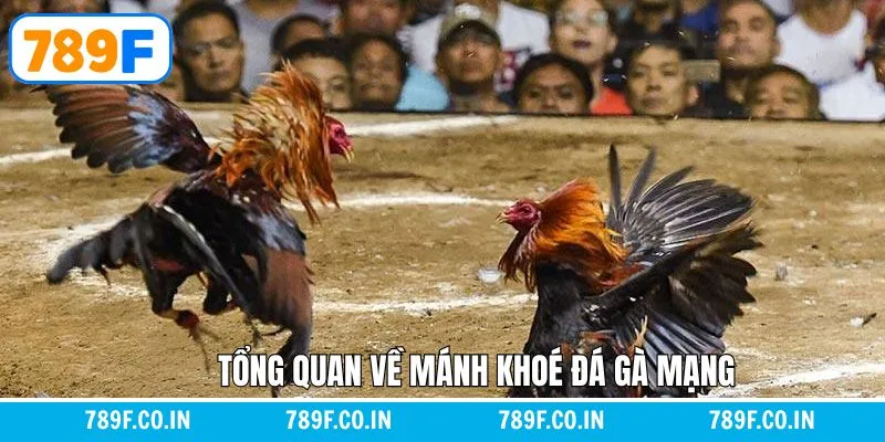 Giải Mã Chi Tiết Giấc Mơ Thấy Con Chó Đánh Con Gì Chuẩn Nhất 10 Giới thiệu về mánh khóe đá gà mạng là gì